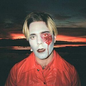 Choir Boy - Gathering Swans  CD